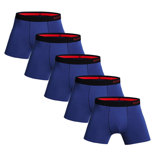 5pcs Pack Mens Panties Cotton Underwear Male Brand Boxer Briefs 2025 Underpants For Homme Luxury Shorts