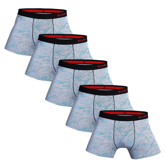 5pcs Pack Mens Panties Cotton Underwear Male Brand Boxer Briefs 2025 Underpants For Homme Luxury Shorts